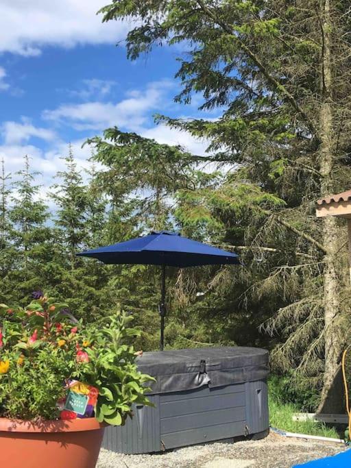 Bankhead Accommodation With Hot Tub Aberdeenshire Gamrie Exteriér fotografie